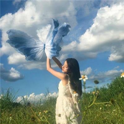 反贪风暴